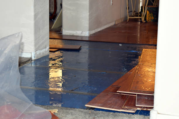Professional Water Damage Repair technician working in Raymond, WA